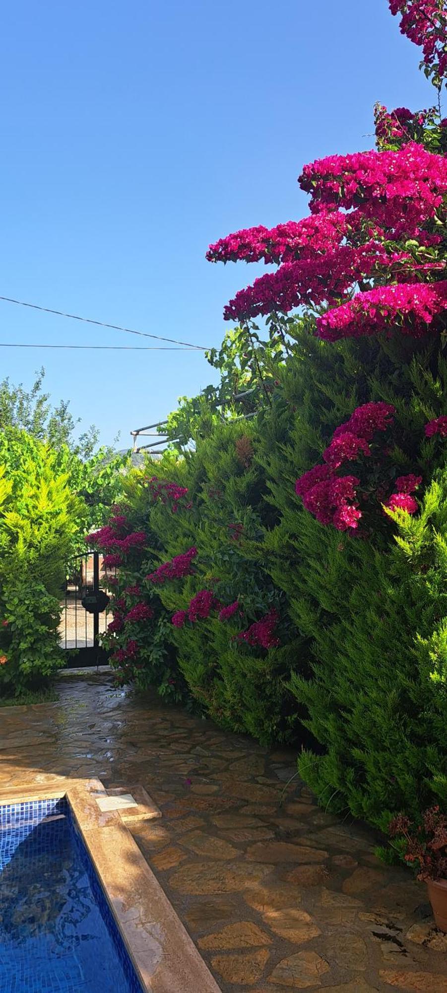 Villa Ebrar Dalyan Muğla Zewnętrze zdjęcie